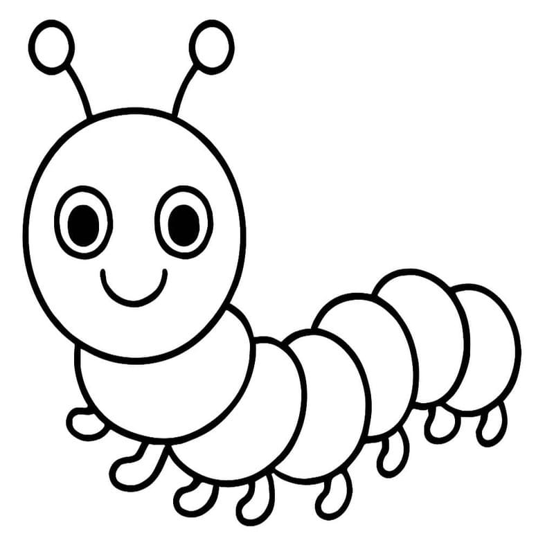 애벌레 이미지 무료로