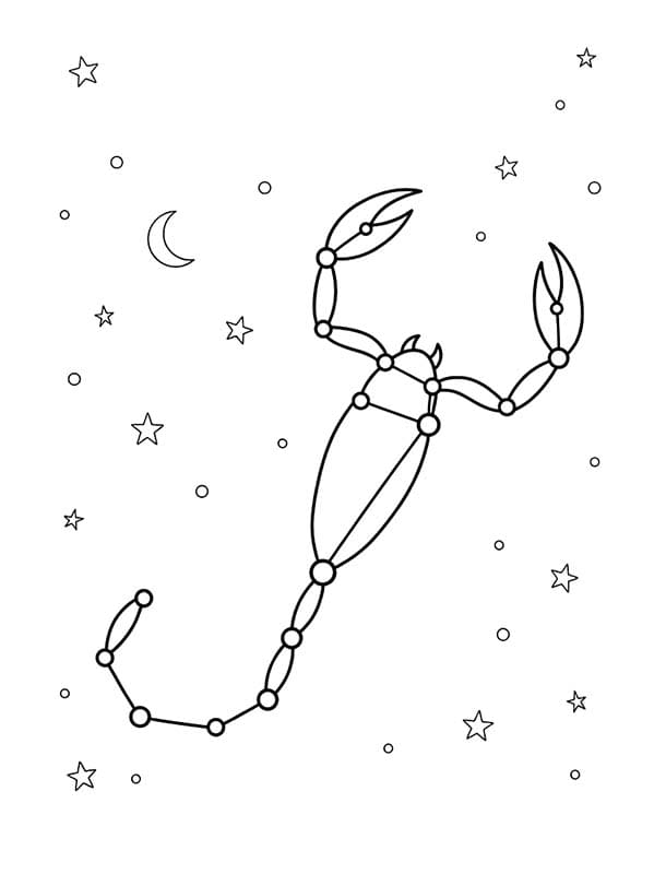 별자리 단순한