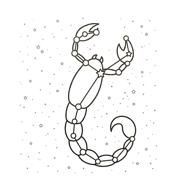 별자리 그리다