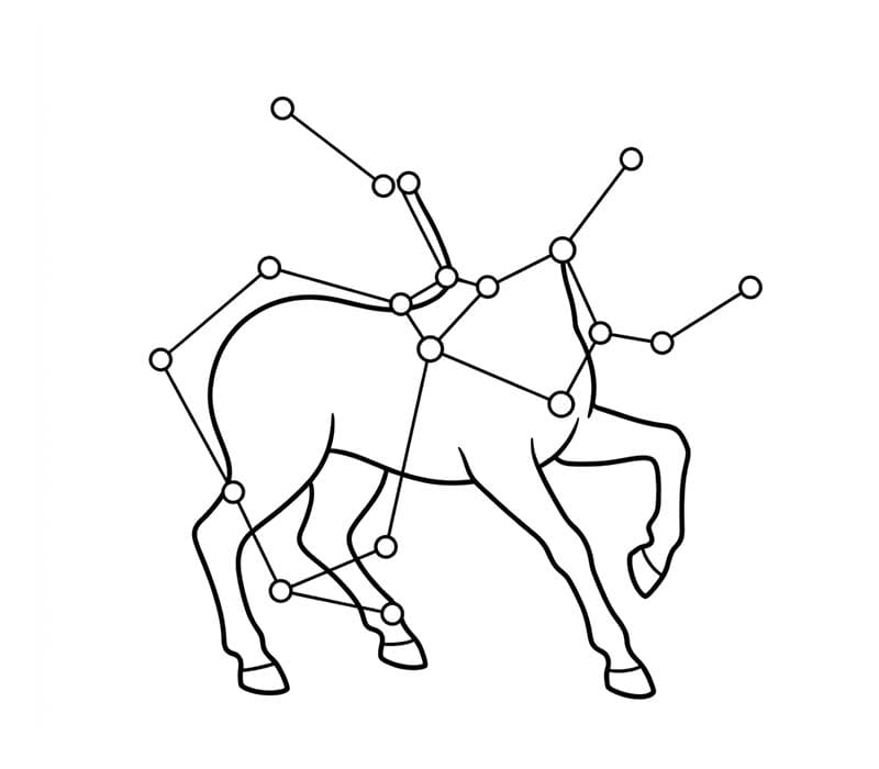 단순한 별자리