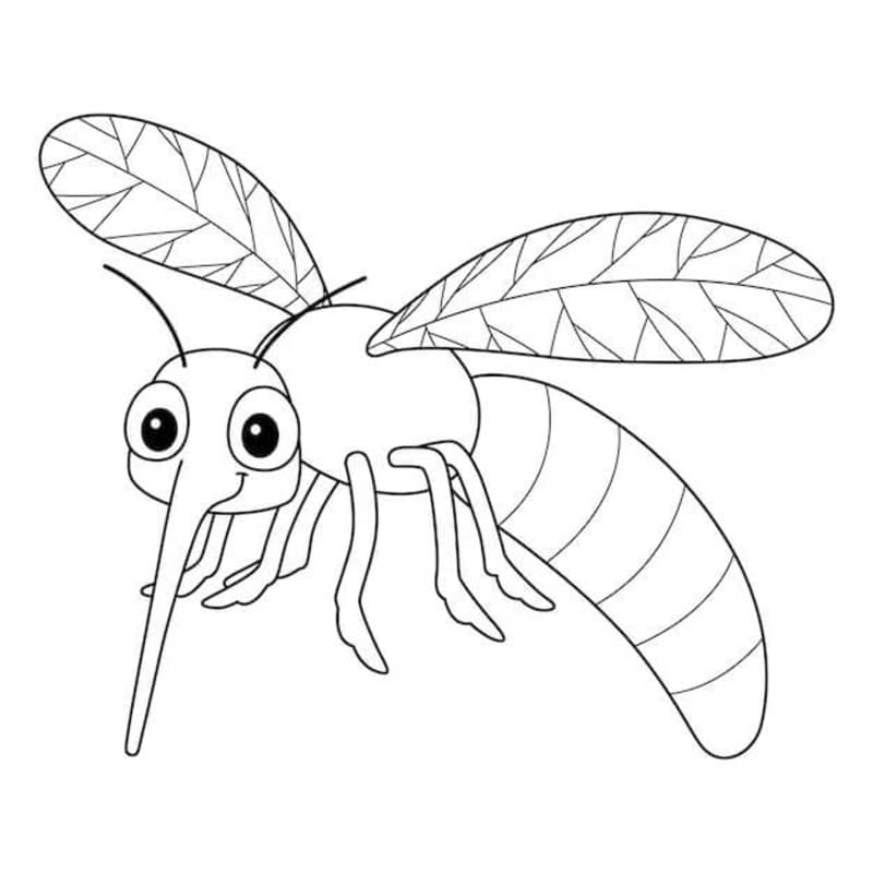 베이식 모기
