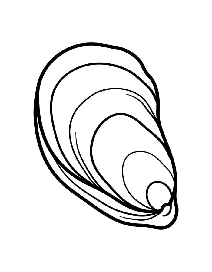단순한 굴