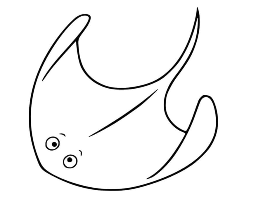 가오리 그리다