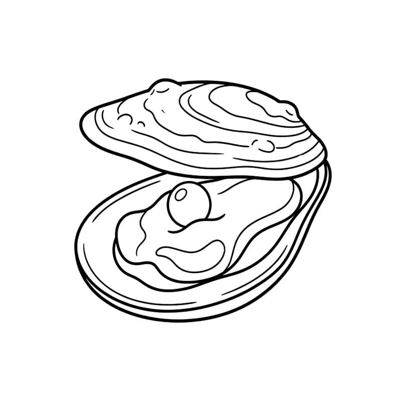 굴 단순한