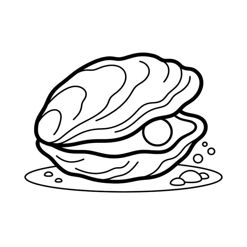 굴 무료