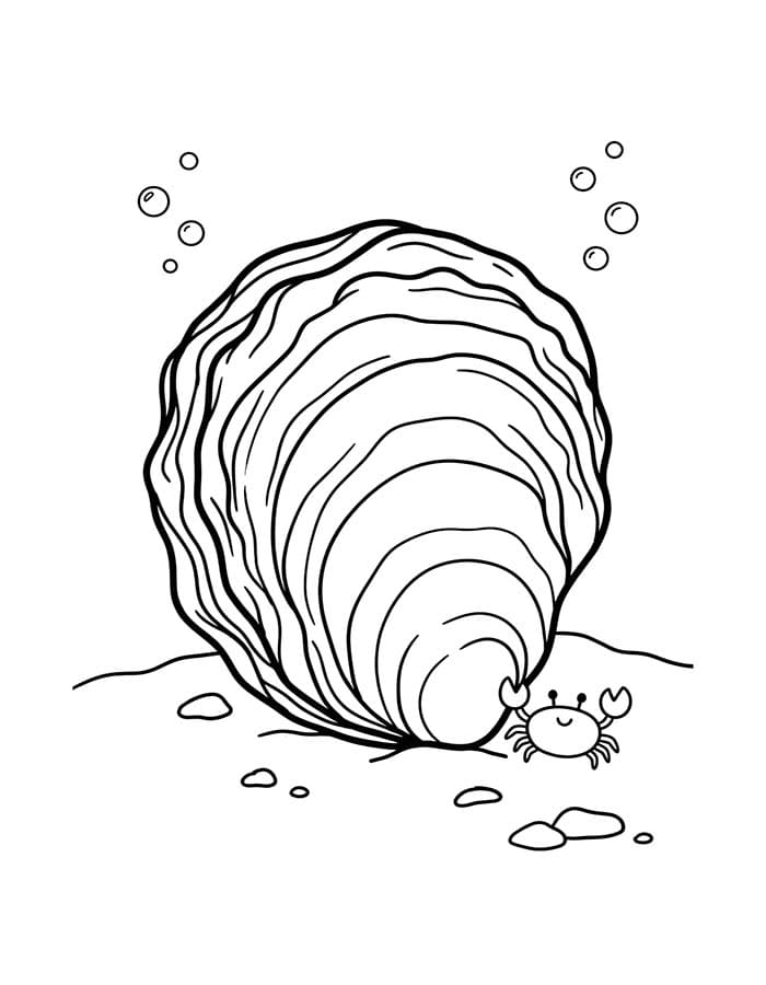굴 쉬운