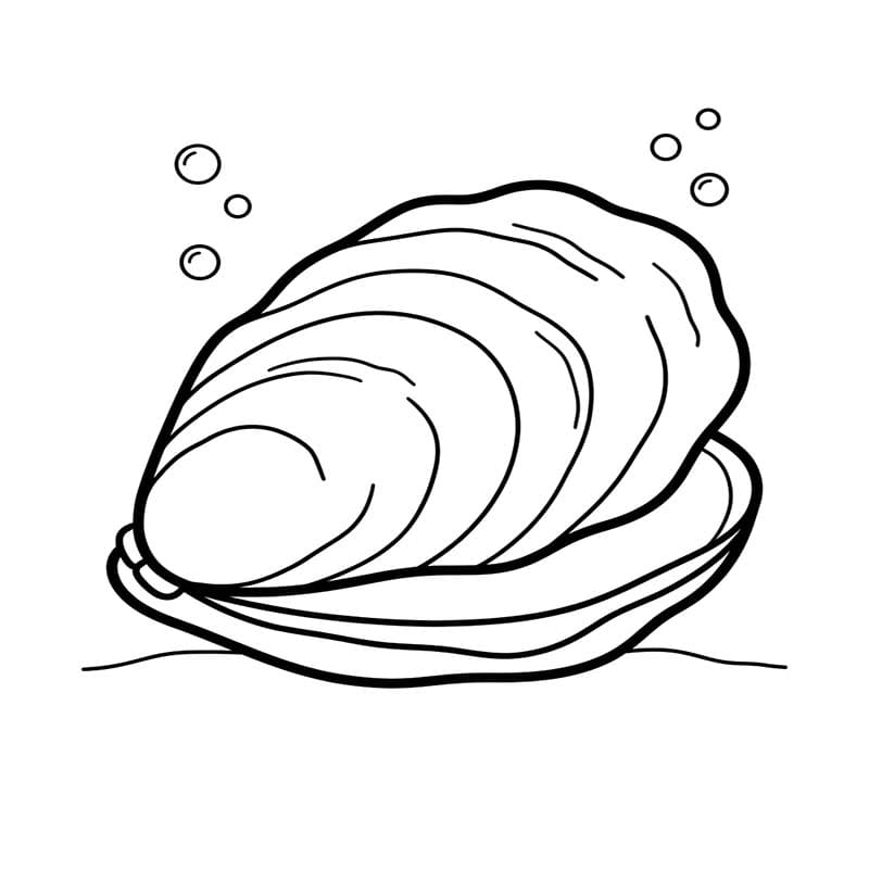 쉬운 굴