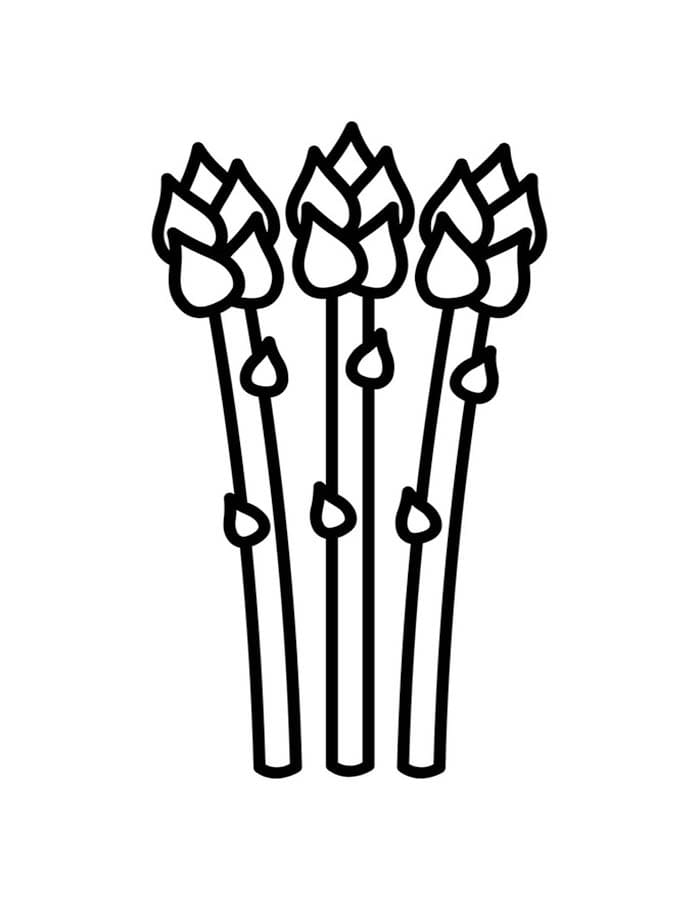 아스파라거스 인쇄