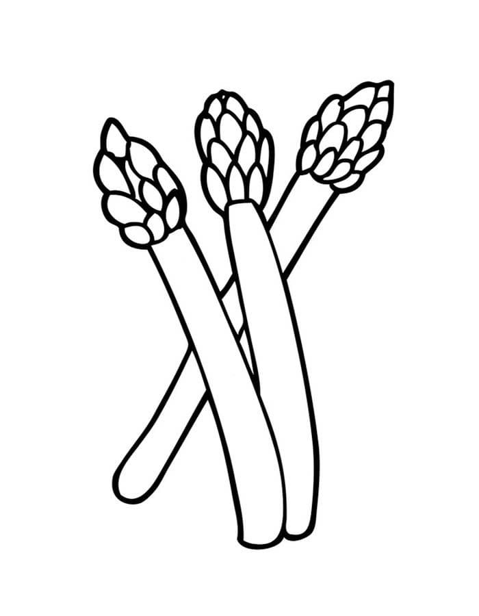 베이식 아스파라거스