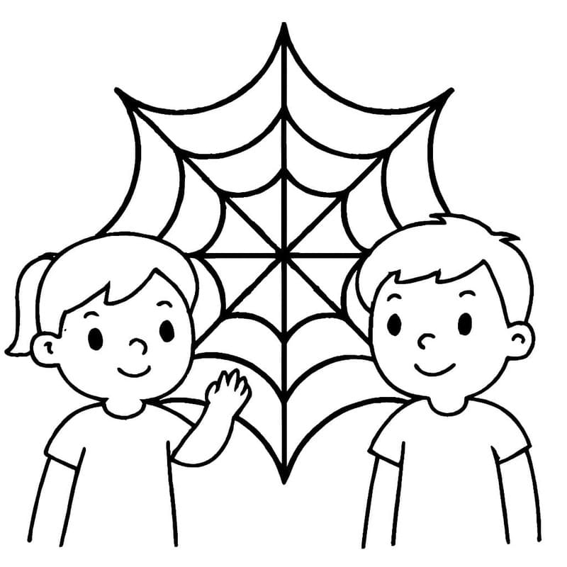 거미줄 단순한