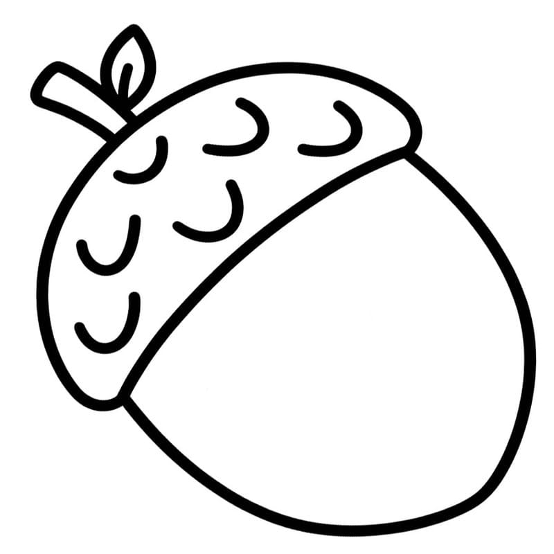 그림 도토리