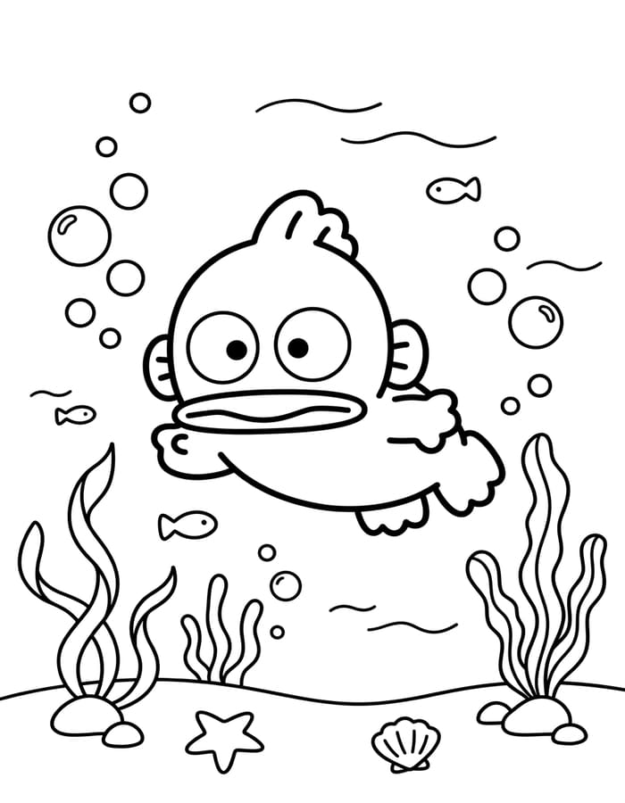 한교동 잠수
