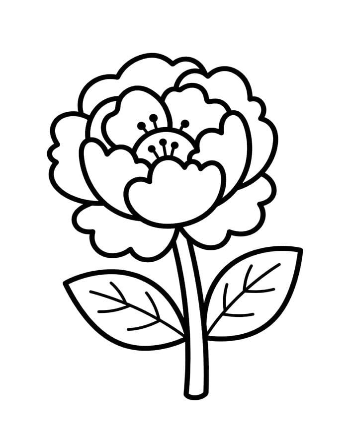 모란 이미지 단순한