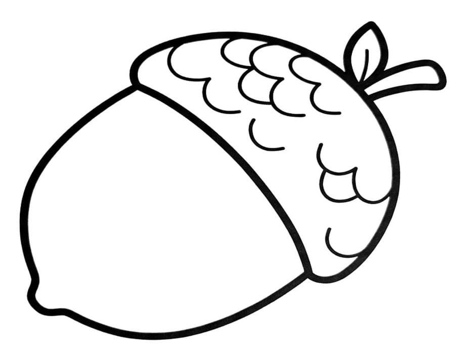 도토리 색칠하기놀이